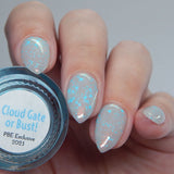 Cloud Gate or Bust! - Limited Editions