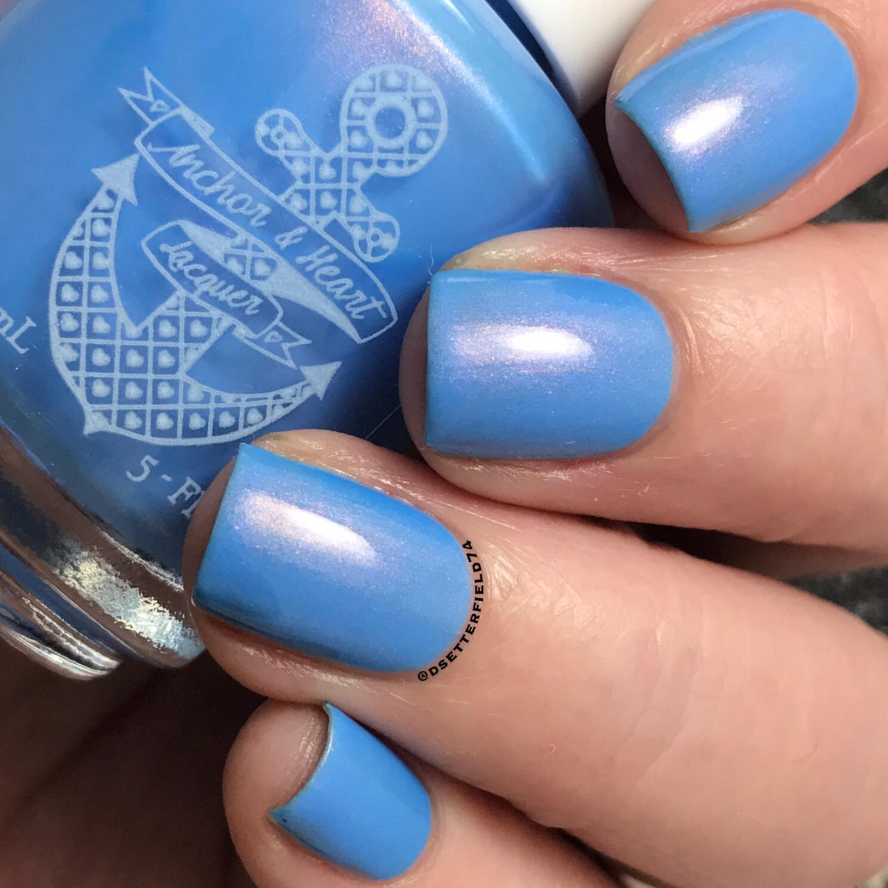 Wicked Good Blueberries - Anchor & Heart Lacquer